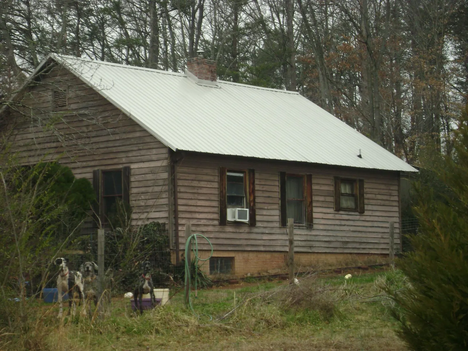 White metal roof on an old wood sided farmhouse, from a Asphalt Shingle Roof Repair job in Gentryville